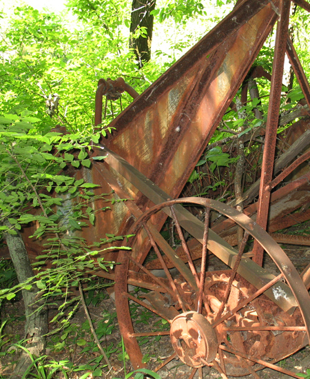 Rusty ancient farm equipment hiding among bushes