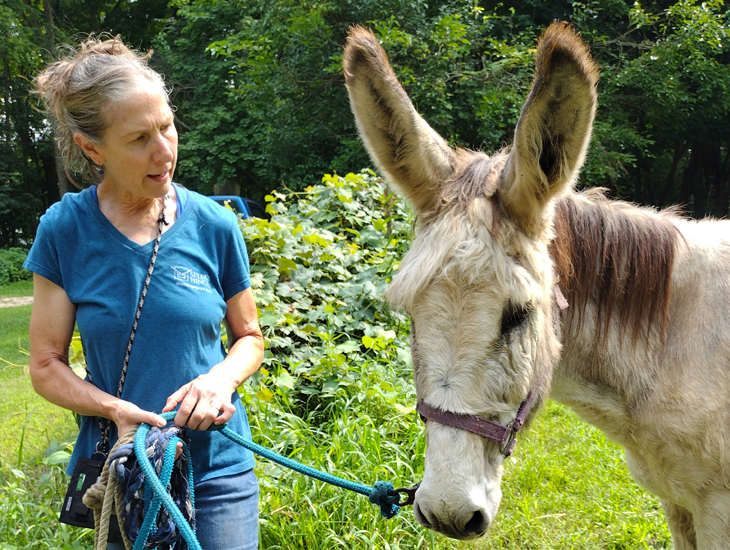 Bonnie Jo wonders what's going on in Donkey's head