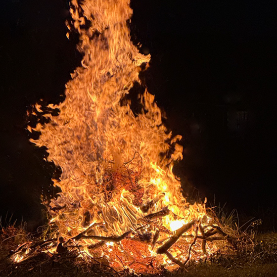 SwampFire bonfire, photo by Eva English