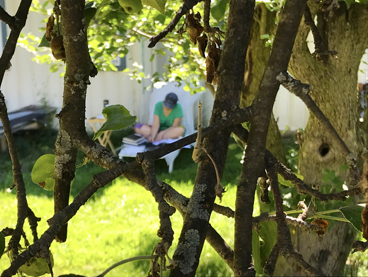 Focused work in the quiet space behind the apple tree.