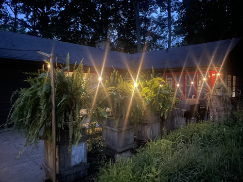 Dawn Burns' photo . . . H House patio lights glow in the dark