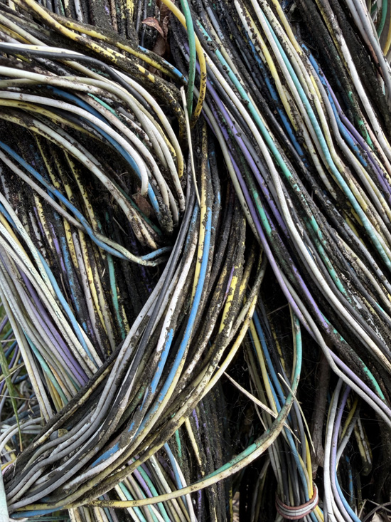 David Marshall's photo . . . wire texture