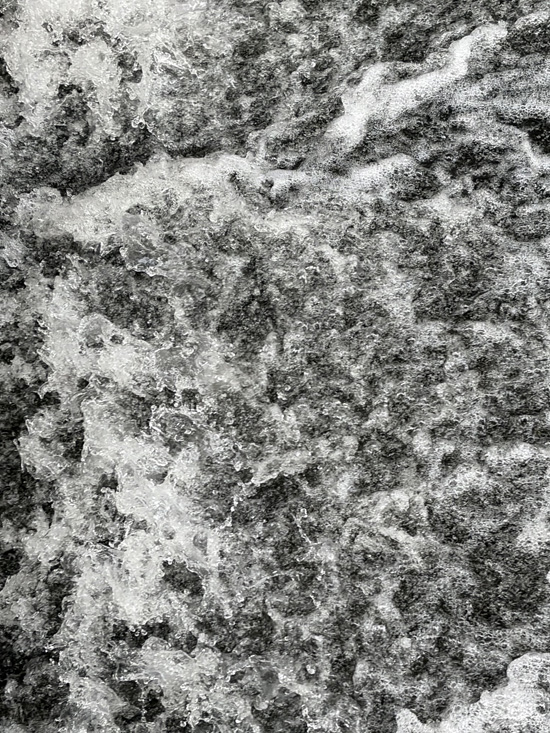 David Marshall's photo . . . lichen texture